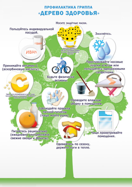 Профилактика гриппа дерево здоровья