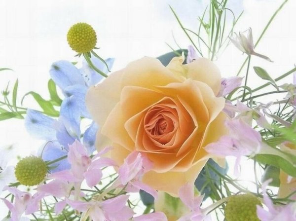 Поздравления с днём рождения Татьяне