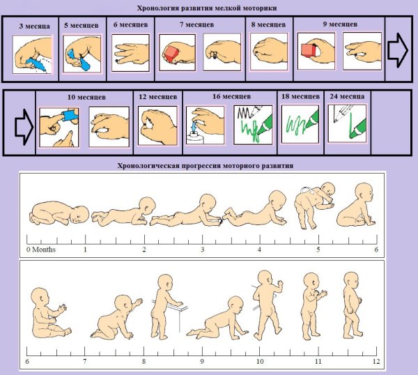 Нормы двигательного развития ребенка до года