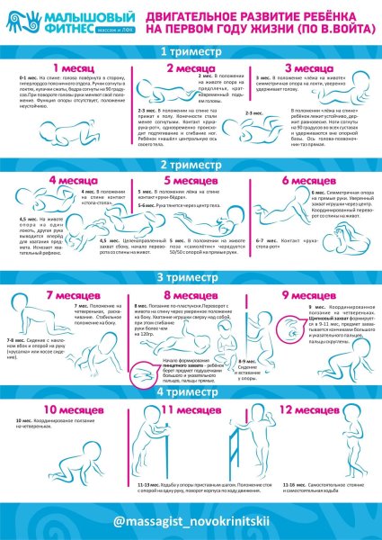 В Войта таблица развития ребёнка