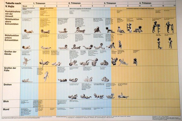 Таблица развития ребенка по месяцам до года Войта