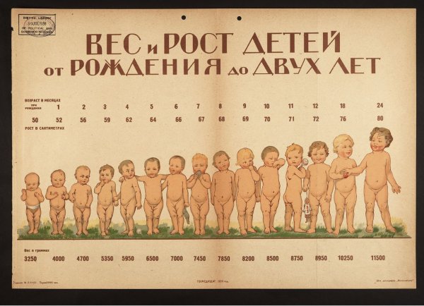 Рост новорожденного по месяцам таблица