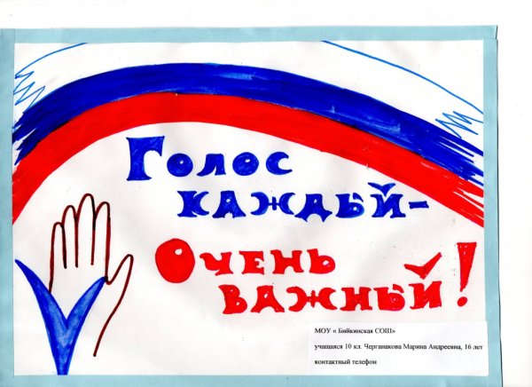 День молодого избирателя плакат