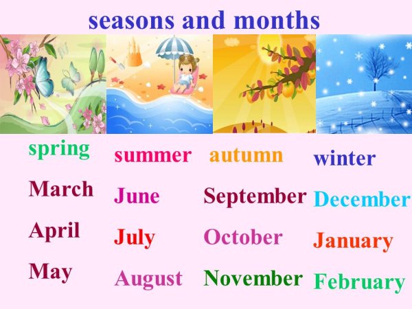 Тема Seasons and weather