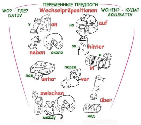 Предлоги места в немецком языке