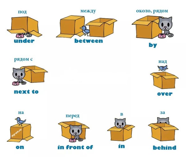 Предлоги места в английском языке