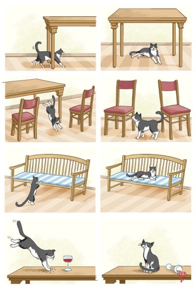 Домашние животные предлоги