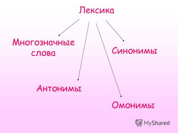 Синонимы антонимы многозначные слова
