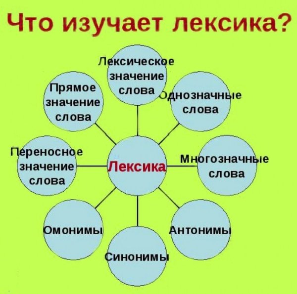 Что изучает лексика в русском языке