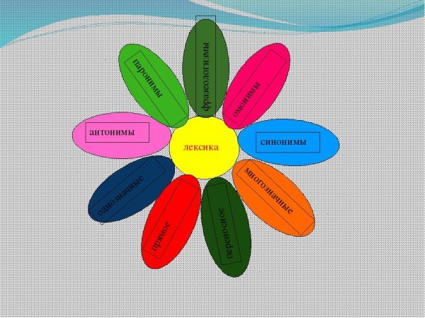 Кластер лексика