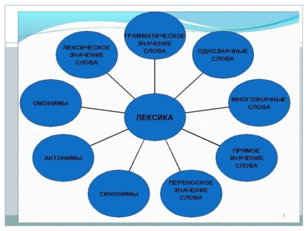 Заимствования в русском языке