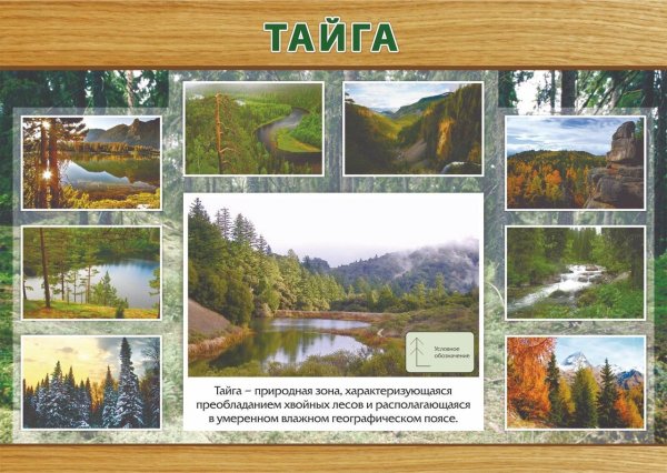 Природные зоны плакат