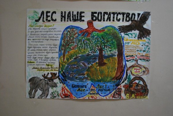 Плакат лес наше богатство