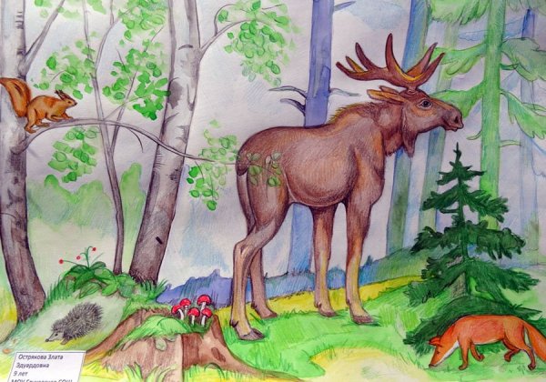 Рисунок на тему природа