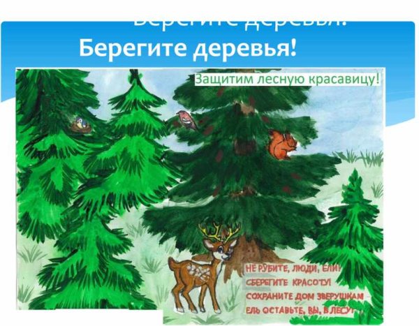 Листовка в защиту хвойных