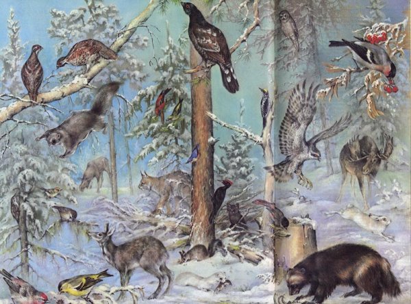 Лесные звери и птицы