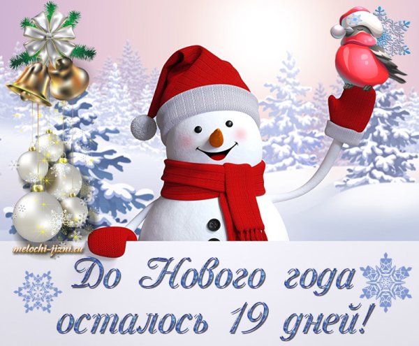 До нового года осталось 19