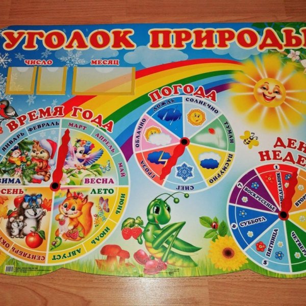 Времена года дни недели