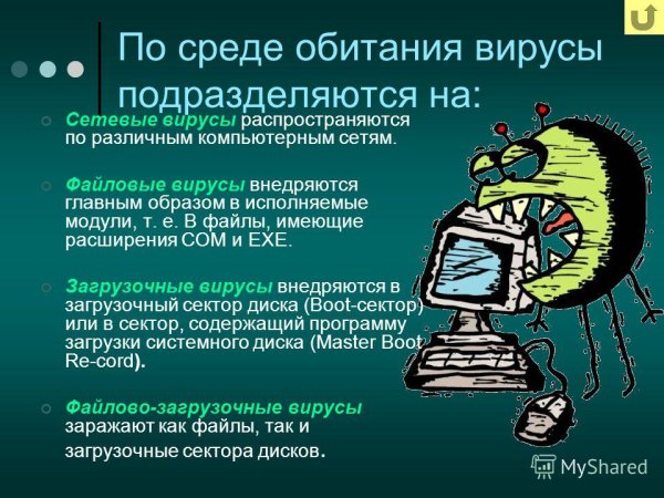 Компьютерные вирусы и антивирусные