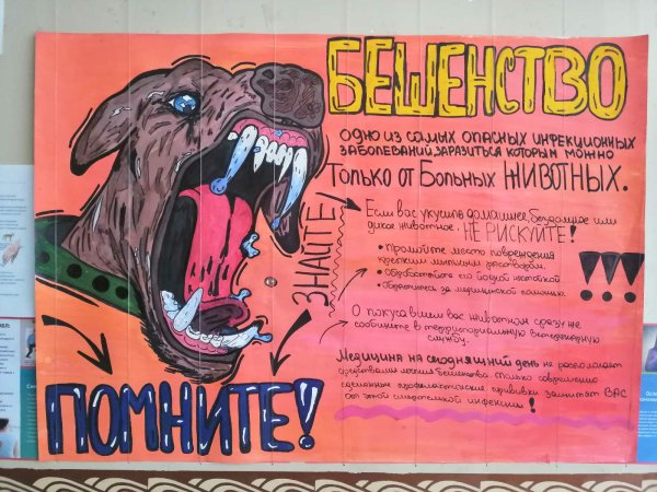 Санитарный бюллетень бешенство