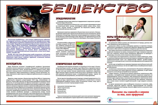 Памятка по бешенству животных для населения