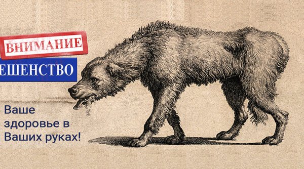 Плакаты по кинологии