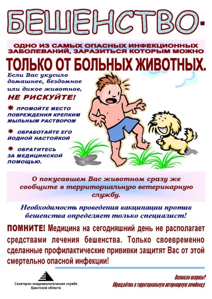 Бешенство раскраска