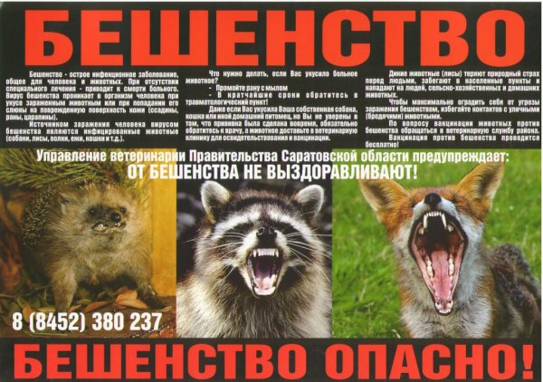 Буклет профилактика бешенства