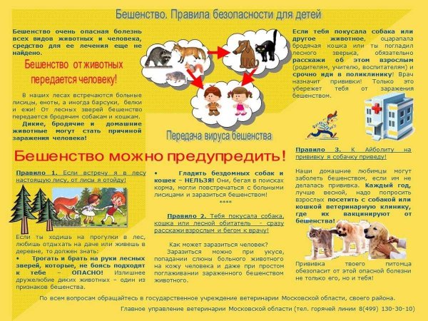 Листовка профилактика бешенства