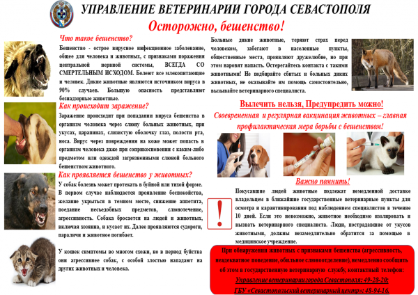 Профилактика бешенства у животных