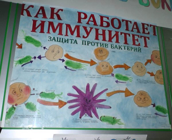Иммунитет плакат