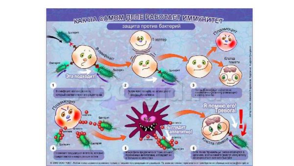 Рисунки на тему иммунитет
