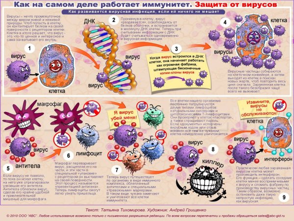 КСК организм борется с вирусами