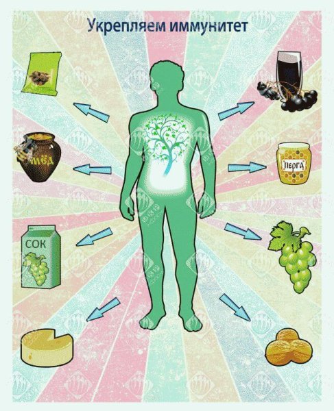 Укрепить иммунитет
