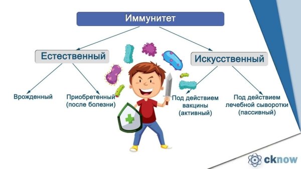 Иммунитет картинки