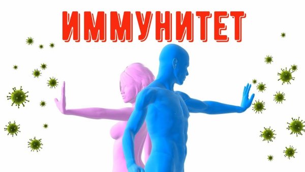 Крепкий иммунитет