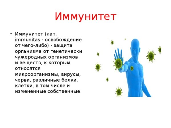 Иммунитет врожденный и приобретенный схема
