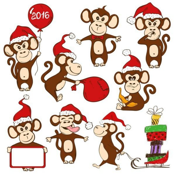 Год обезьяны