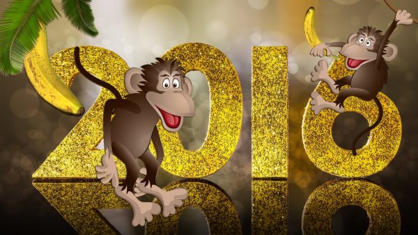 Год обезьяны