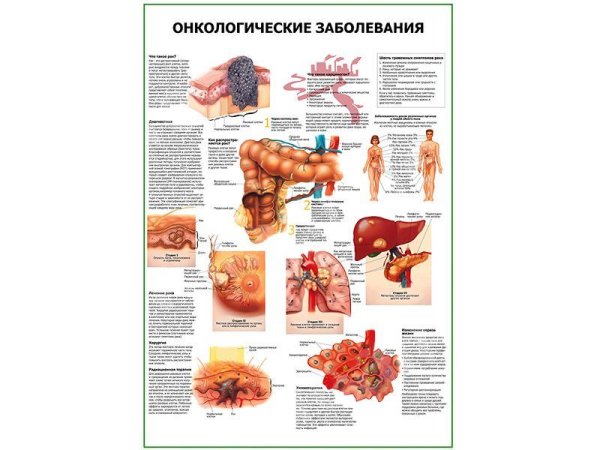 Профилактика онкологических заболеваний памятка