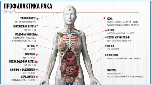 Санбюллетень профилактика онкологии