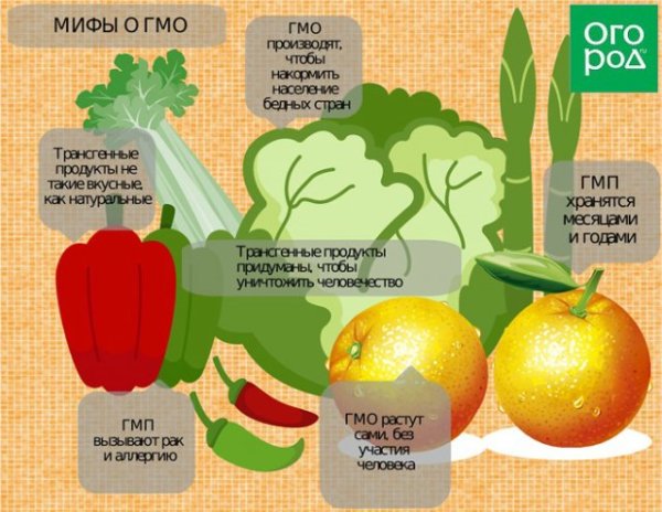 ГМО продукты