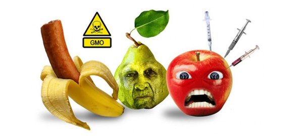 Опасные ГМО продукты