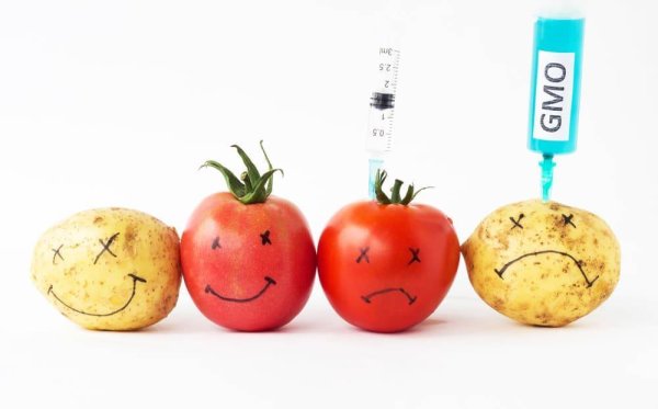 ГМО добавки