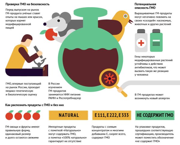 ГМО инфографика