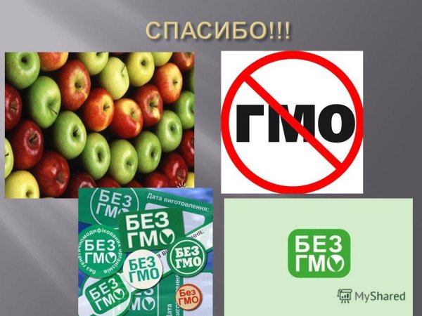 Презентация на тему ГМО
