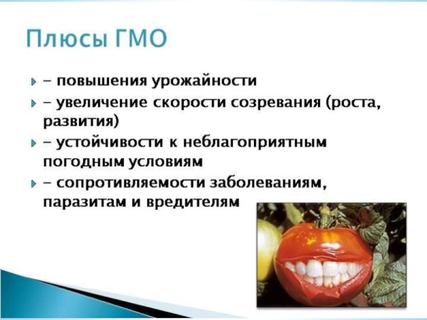 ГМО презентация