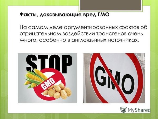 Буклет ГМО