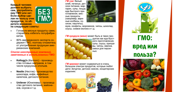Генномодифицированные продукты презентация