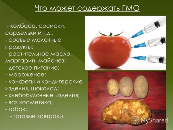 Генетически модифицированные продукты